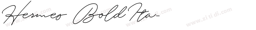 Hermes BoldIta字体转换
